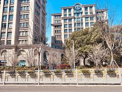 -桃浦新村(地铁站)