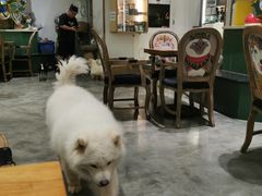 -more than meow吴止猫主题餐厅(承德 中船汇店)