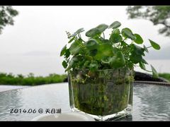 android_upload_pic-天目湖涵田度假村