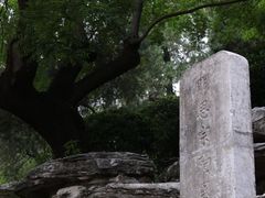 景点-景山公园