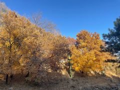 -承德避暑山庄景区