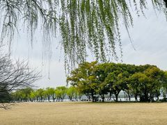-柳浪闻莺公园