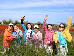 -北纬44度·金珠花海休闲农业旅游景区