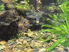 -海合安天津极地海洋公园