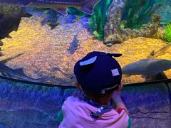 -沈阳海洋探索中心