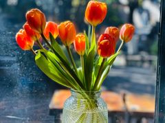 -蓝壁虎咖啡酒馆