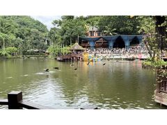 -西双版纳原始森林公园