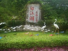 -广州白江湖森林公园