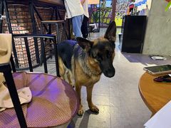 -KingBull私教健身&格斗订制(龙井商业中心店)