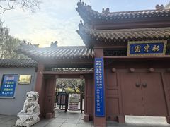 -桃花堤公园