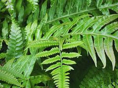 -北京植物园-展览温室