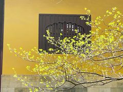 -西园戒幢律寺