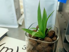 -CUBIC3三立方咖啡(凌空SOHO店)