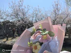 -三里河公园