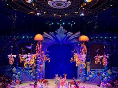 -海合安武汉极地海洋公园