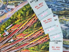 -宁波浙东大竹海景区