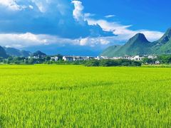 -万峰林风景区