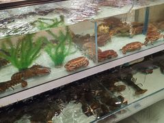 水产区-盒马鲜生(新都心店)