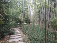 -唐城墙遗址公园