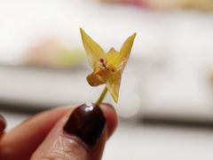 -品粹徽园·家常安徽菜