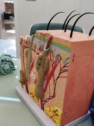 -广州曙光医学美容医院