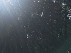 -七仙岭温泉国家森林公园