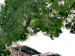 -同济大学(嘉定校区)