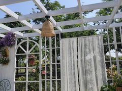 -苏州上方山国家森林公园