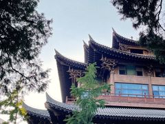 -菩提树下茶咖鼓捣