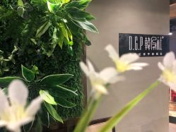 -韩孕社专业孕妇摄影(和平店)