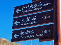 -北京西山国家森林公园