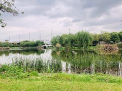 -九里河湿地公园