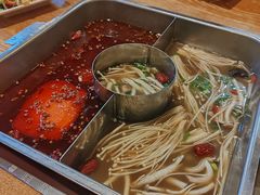 -侯氏火锅(无极县店)