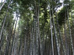 -同里国家湿地公园