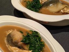 -沈灶河豚宴·河豚融合餐厅(汉中路店)
