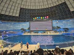 -泉城欧乐堡海洋极地世界