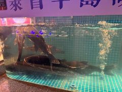 -鸽子侯·家宴·平价海鲜(市图书馆店)