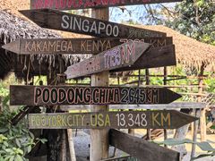 -大象粑粑造纸公园