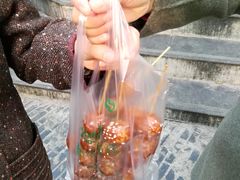 糖油果子-邓记新一代糖油果子(四川煤管局供销公司职工宿舍店)