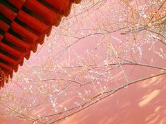 -钱王祠