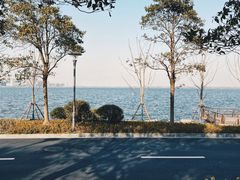 -南汇嘴观海公园