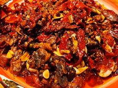 -柴窝堡22号辣子鸡·传承新疆菜