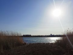 -绿堤公园