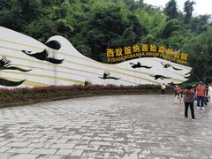 -西双版纳原始森林公园