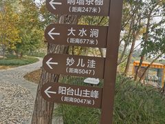 -阳台山自然风景区