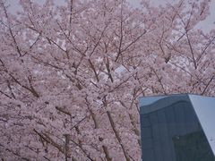 -龙美术馆(西岸馆)
