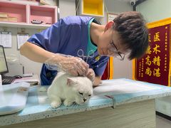 -半岛宠物医院24小时(科华中路店)
