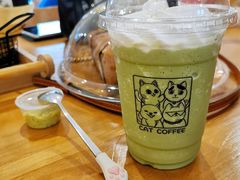 抹茶星冰乐-猫小主咖啡·猫咖cat cafe(福田店)