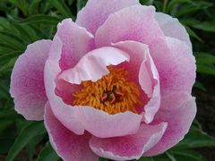 -长春公园(普阳街道)