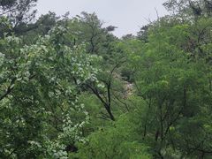 -金龙寺国家森林公园